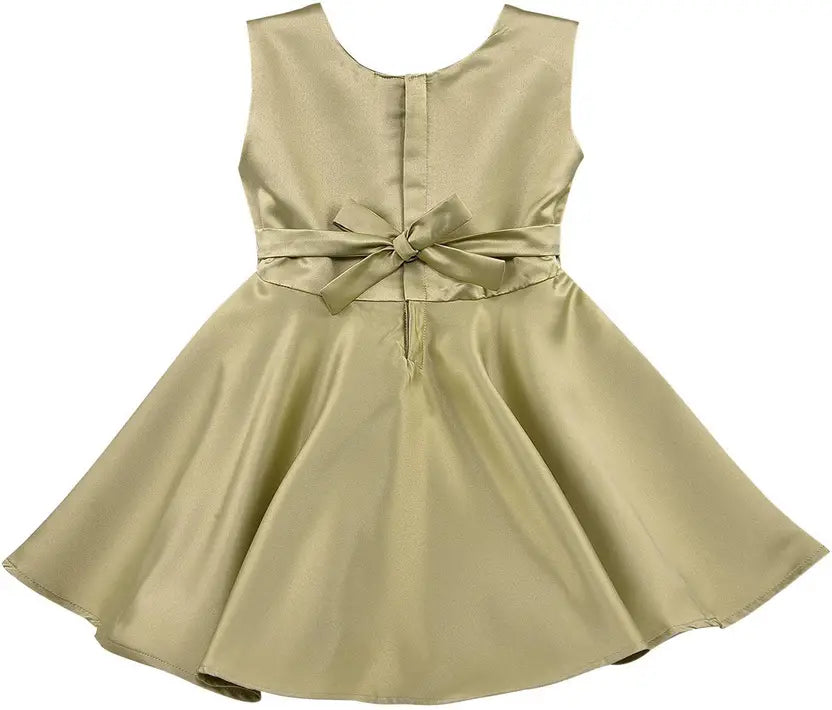 Baby Girls Midi/Knee Length Party Dress bxa245og