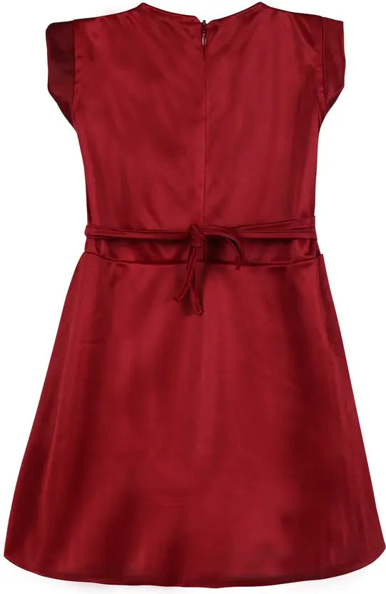Baby Girls Midi/Knee Length Casual Dress fm14rd