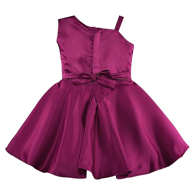Girls Party Wear Fit and Flare Frock Dress