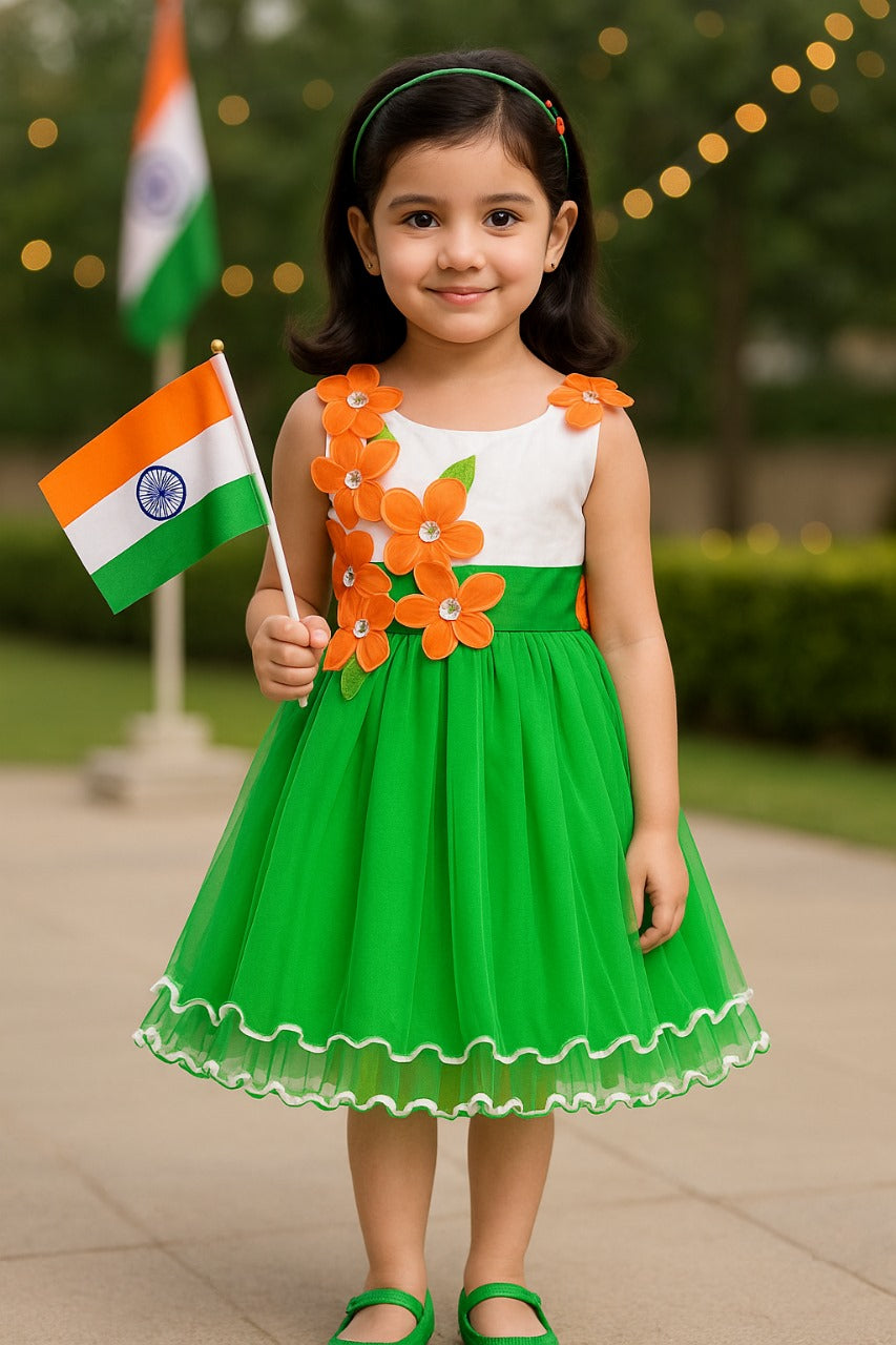Girls Floral Applique Tricolor Independence Day Special Dress