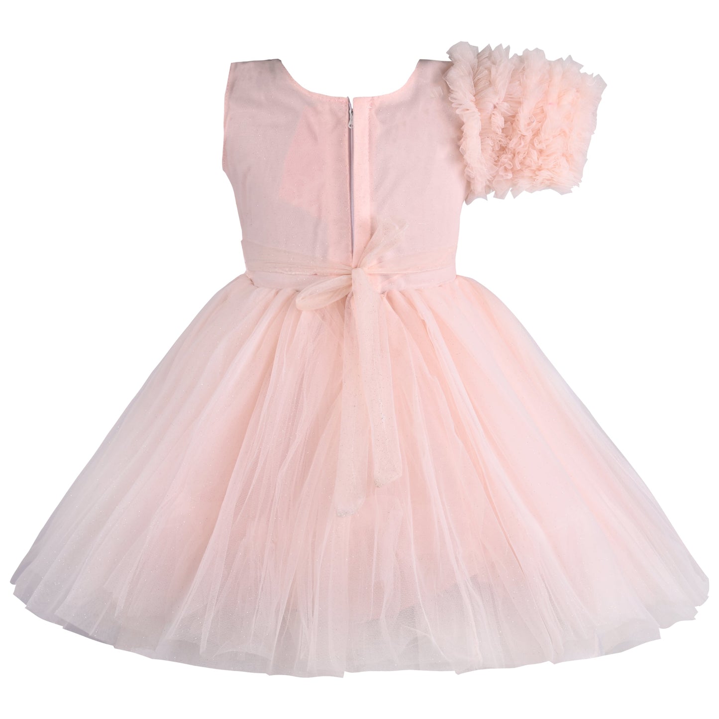 Girls Solid Net Fabric A-Line Frock Dress
