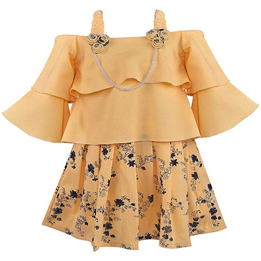 Baby Girls Frocks Dress-(csl334y)